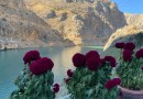 Tunceli Ovacık Elazığ Kemaliye Harput Apçağa Köyü Sivas...