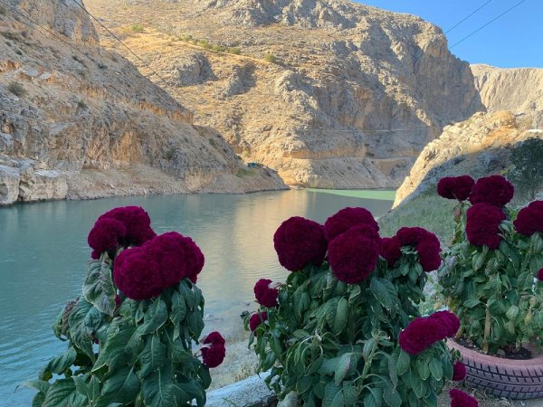 TUNCELİ OVACIK KEMALİYE ELAZIĞ SİVAS DİVRİĞİ